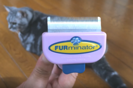 おすすめ！猫用「毛取りの種類」（FURminator,FOOLEE等）